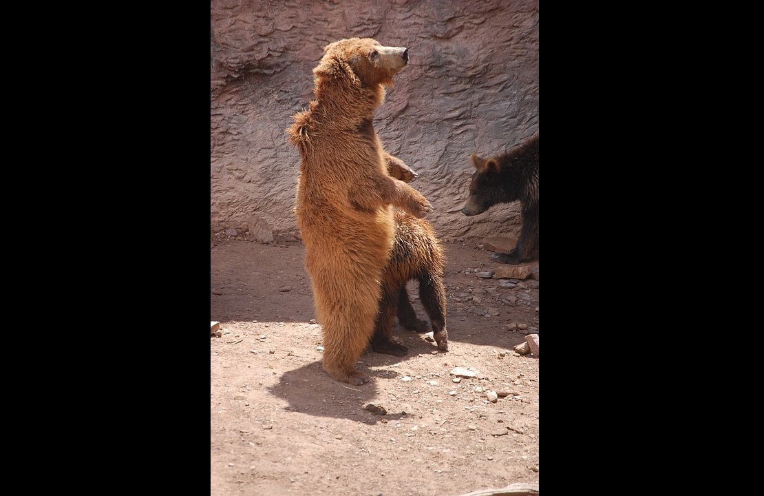 Foto Ilustrativa - Pixabay