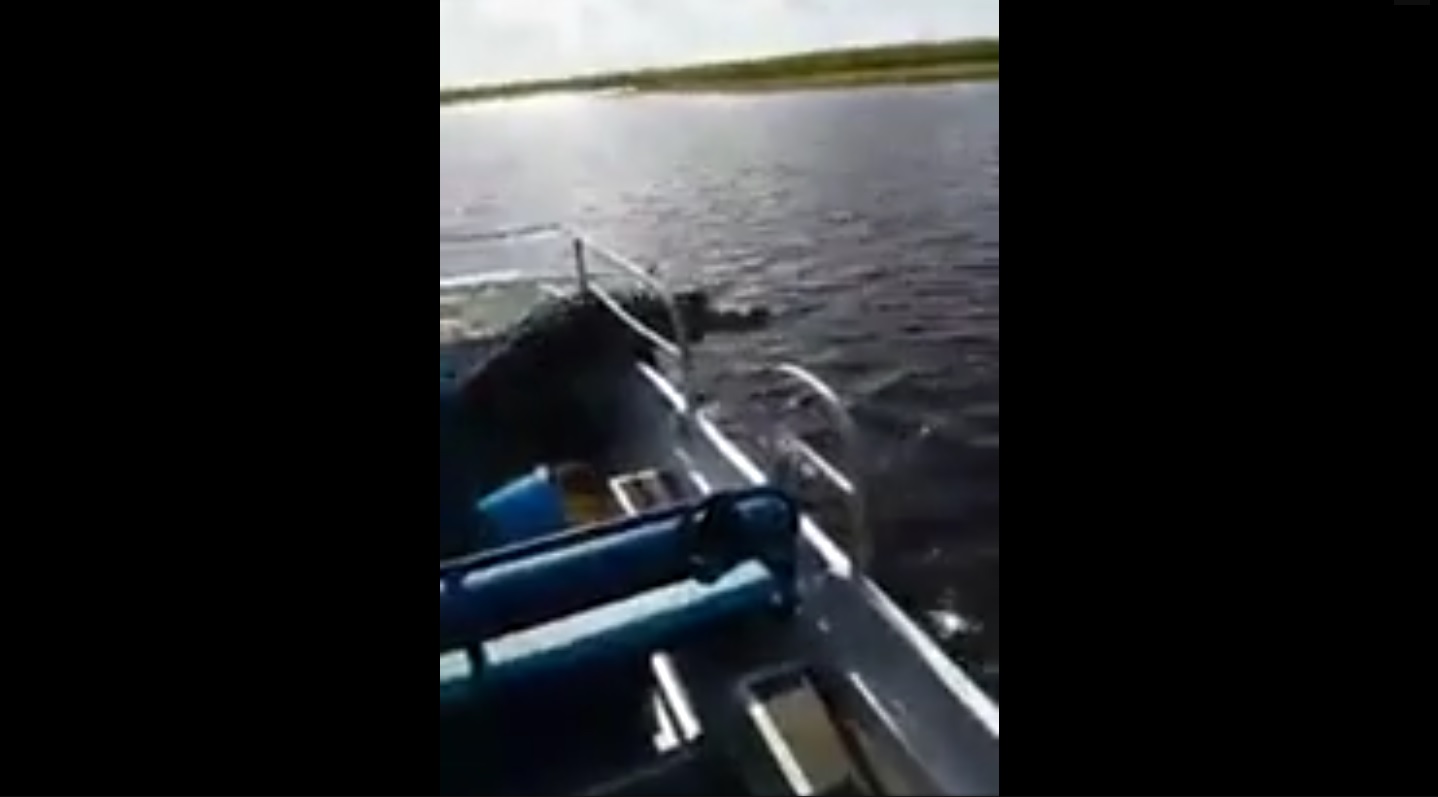 Captura de video dailymotion.com