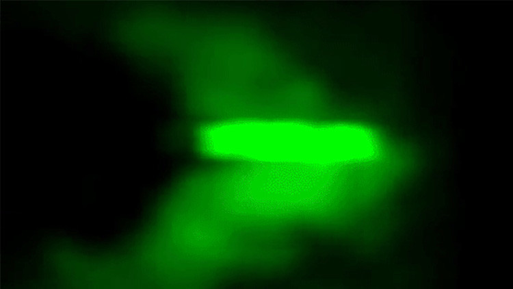 Jinyang Liang and Lihong V. Wang