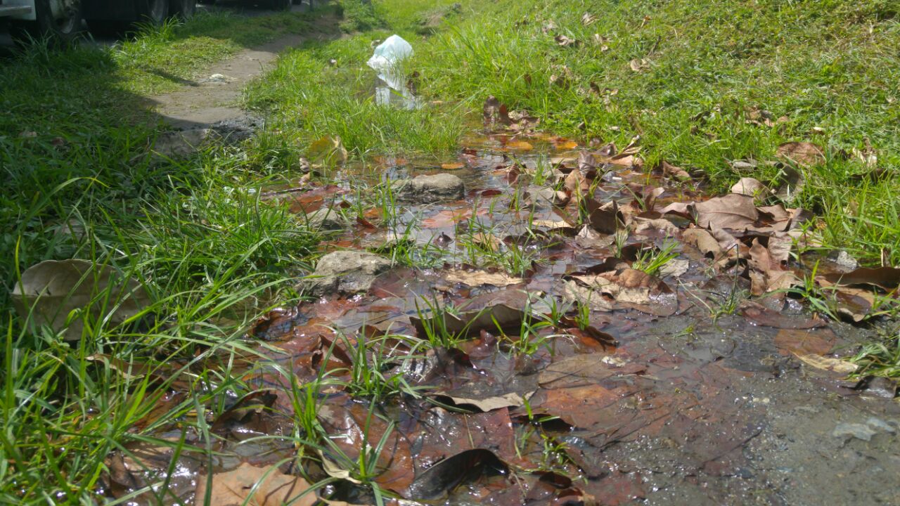 Foto: Edwards Santos