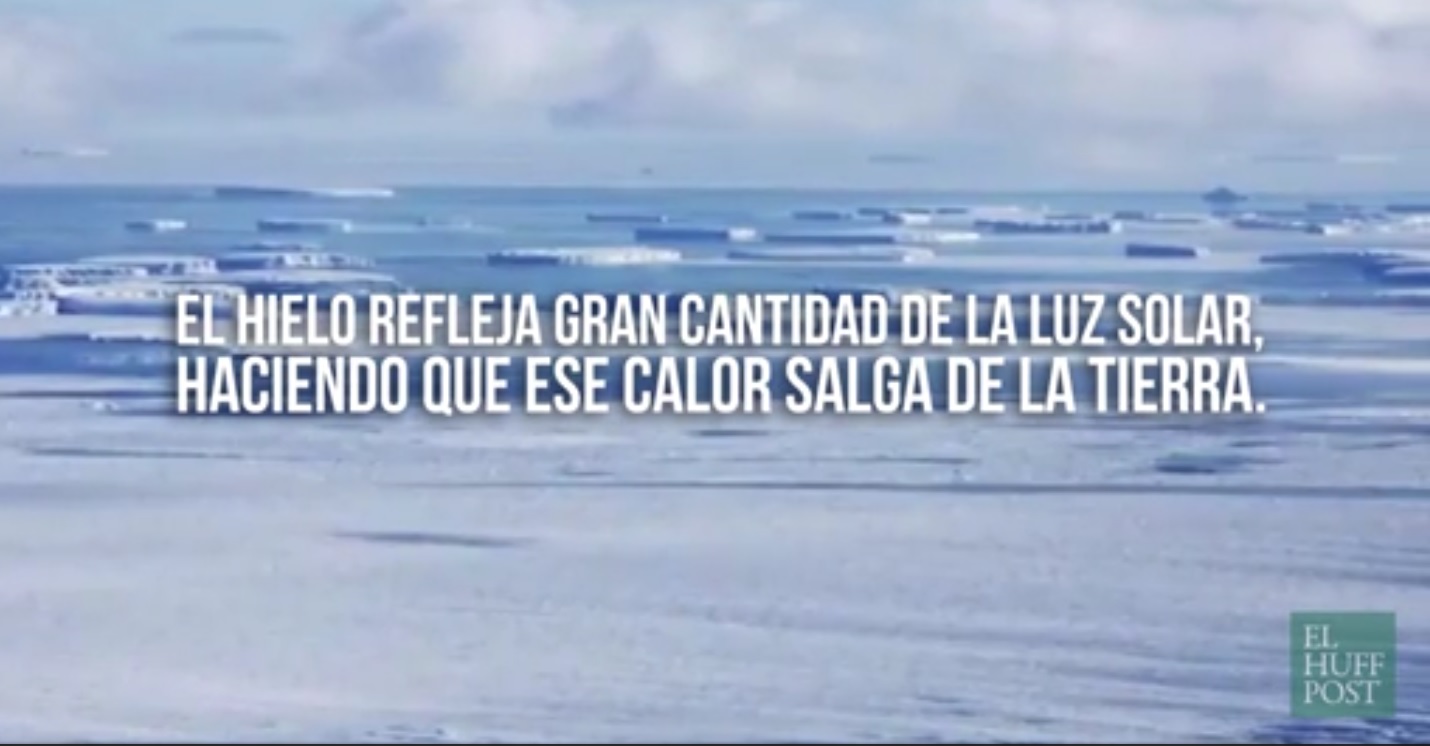 Captura de video dailymotion.com