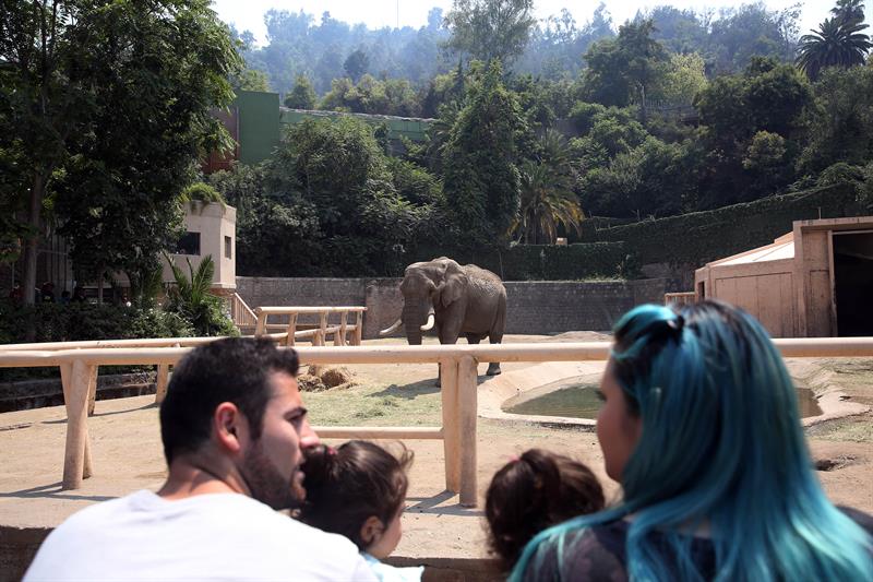 Una familia observa a un Elefante en el zoológico Parque Metropolitano de Santiago de Chile (Chile). EFE