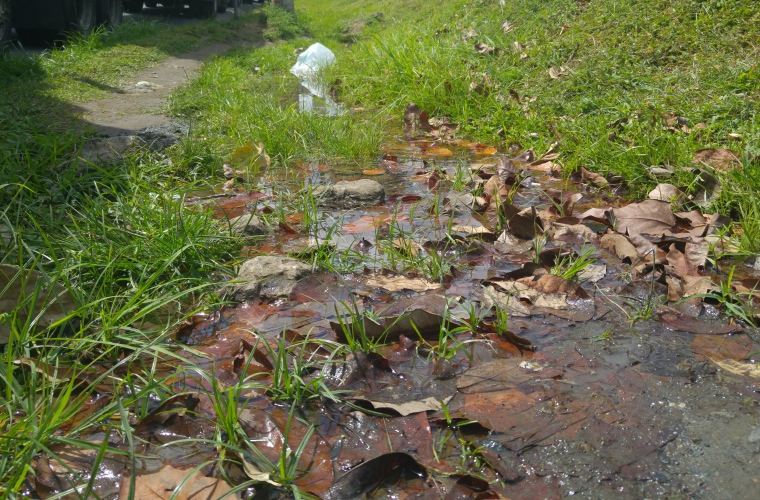  Foto Edwards Santos Crítica