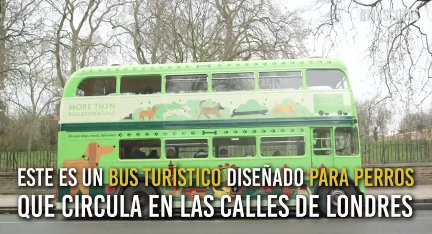 Captura de video dailymotion.com