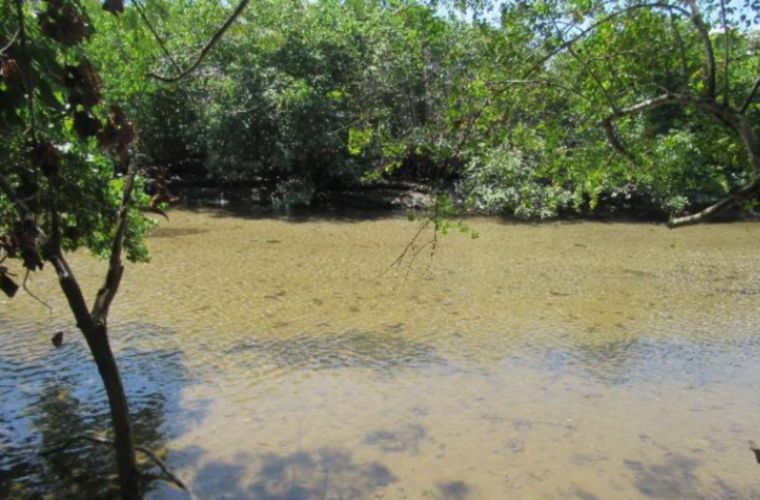 Para quienes operarán carros cisterna en los Carnavales. La Resolución DM-0034-2017 de MiAmbiente establece que solo se permitirá el uso de agua cruda para culecos de las fuentes superficiales (ríos) en los puntos autorizados específicamente para esto. Incumplir esta norma conllevará multa de hasta $2,000.