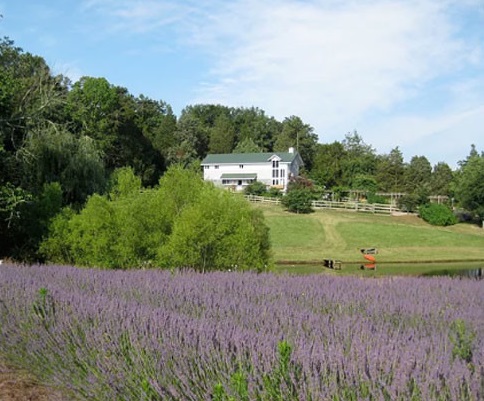 Foto: bluebirdhillfarmessaycontest.com