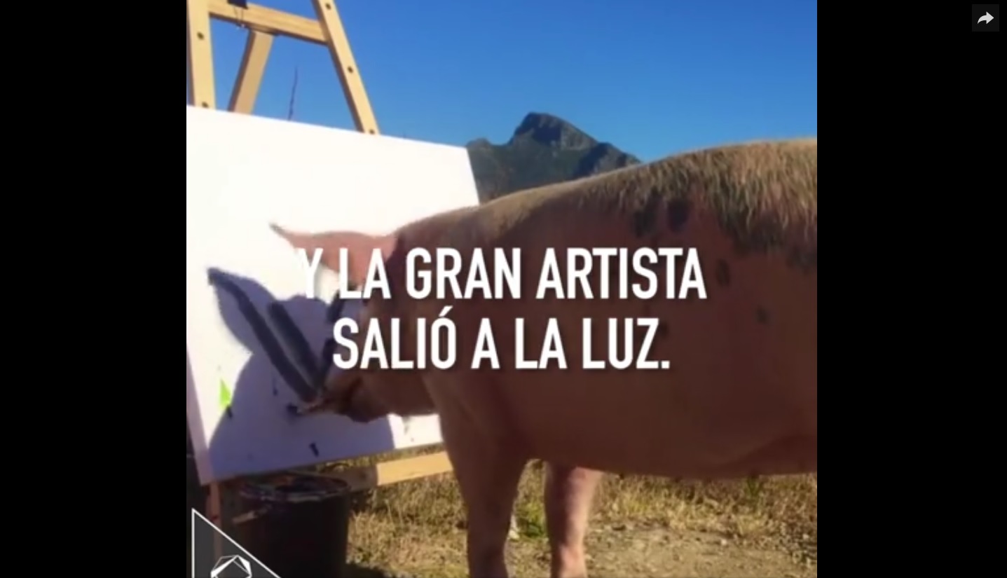 Captura de video dailymotion.com