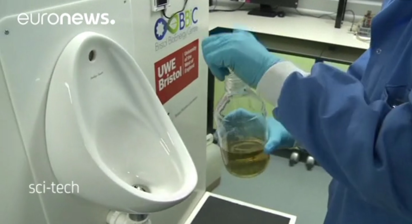 Captura de video dailymotion.com