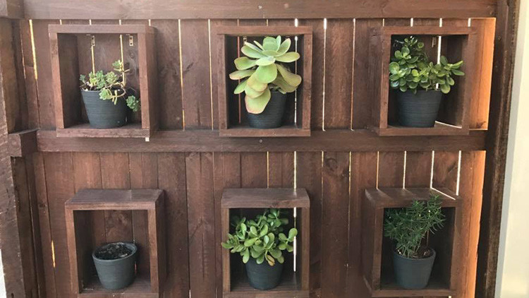 Facebook / Sunshine Coast Snake Catchers 24/7