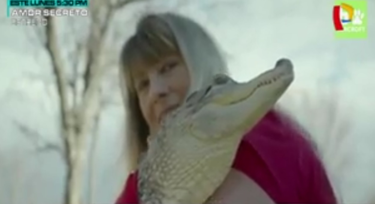 Captura de video dailymotion.com