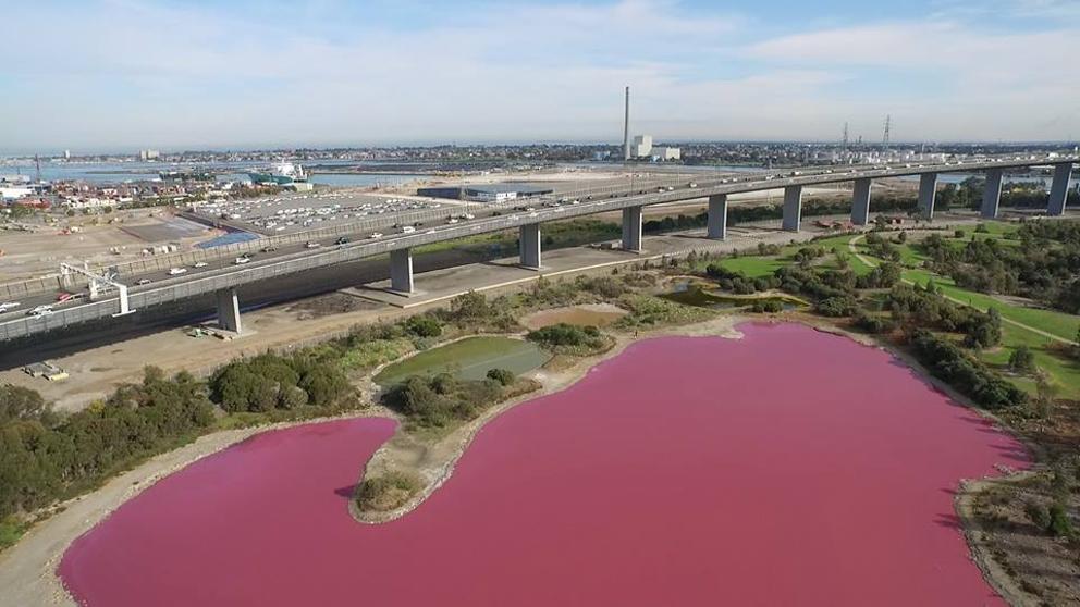 Es un fenómeno totalmente natural, aunque muchas veces nos dicen que parece un accidente industrial con pintura rosa.  /  Foto: AFP