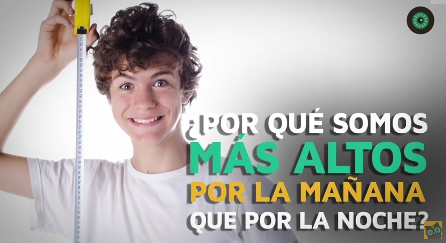 Captura de video dailymotion.com