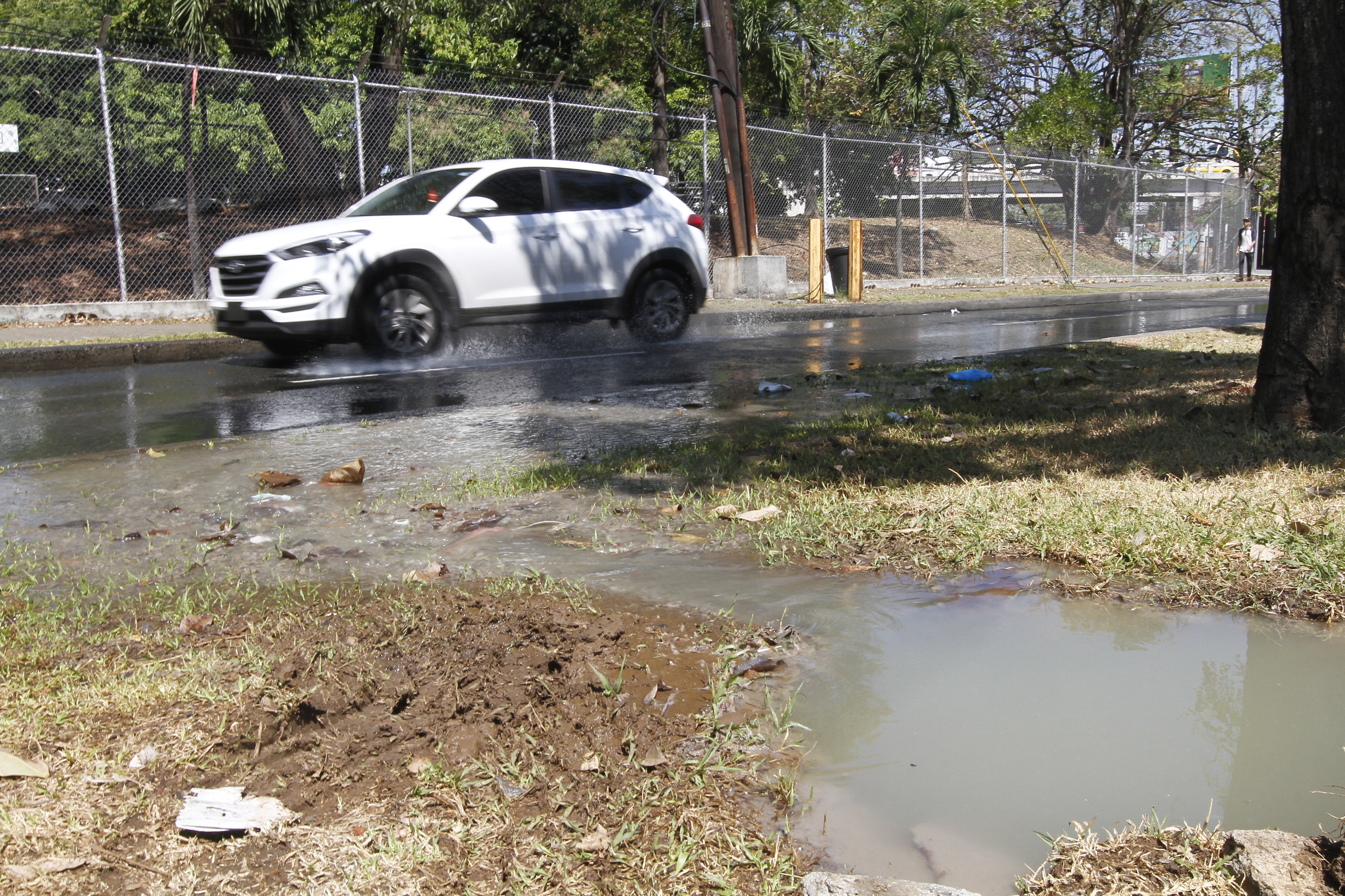 Foto: Edwards Santos