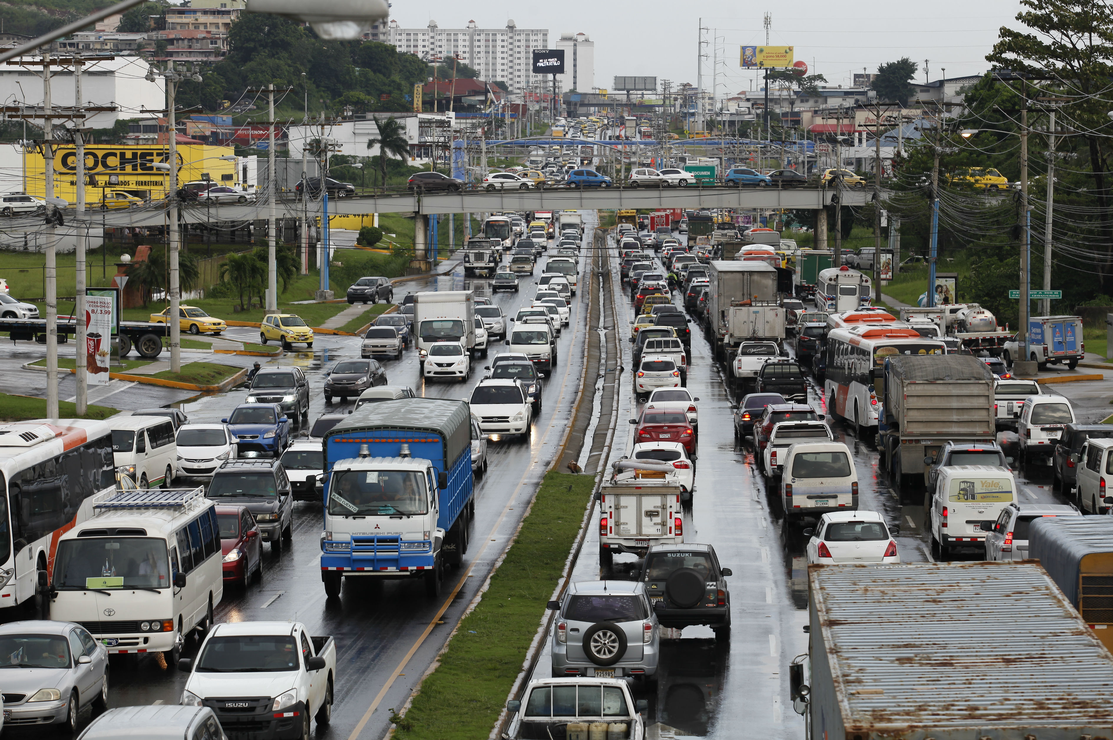 Foto: Josué Arosemena