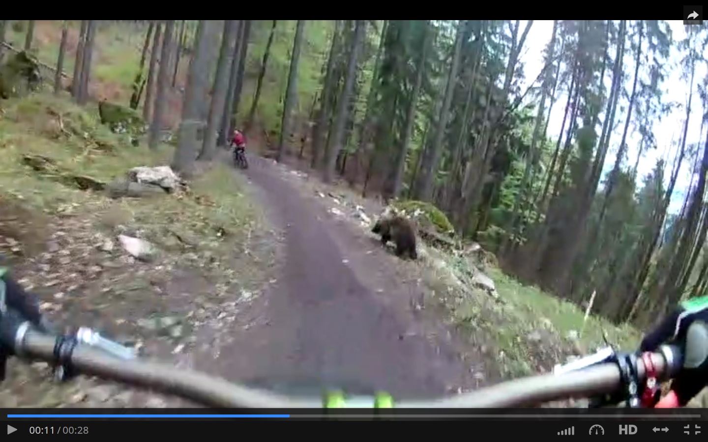 Captura de video dailymotion.com