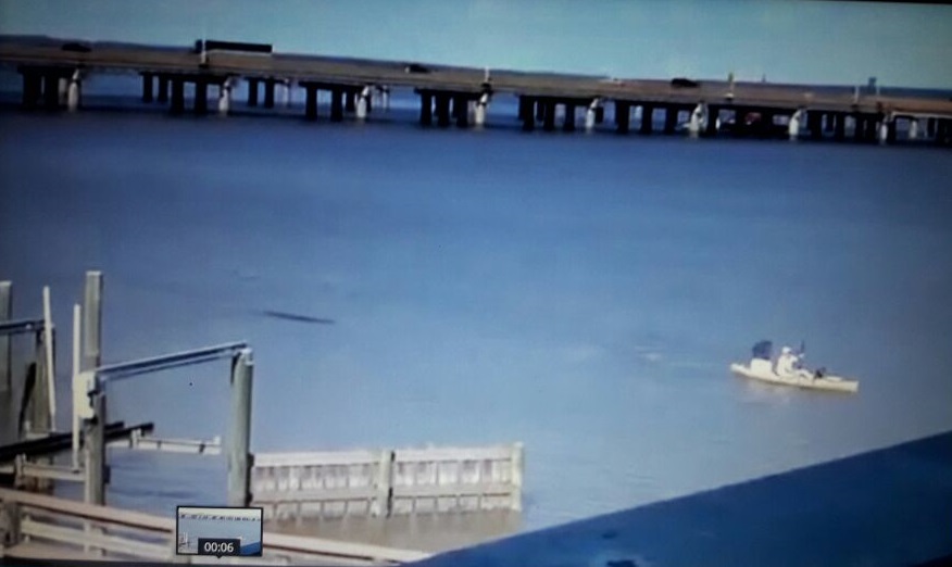 Captura de video Dailymotion.