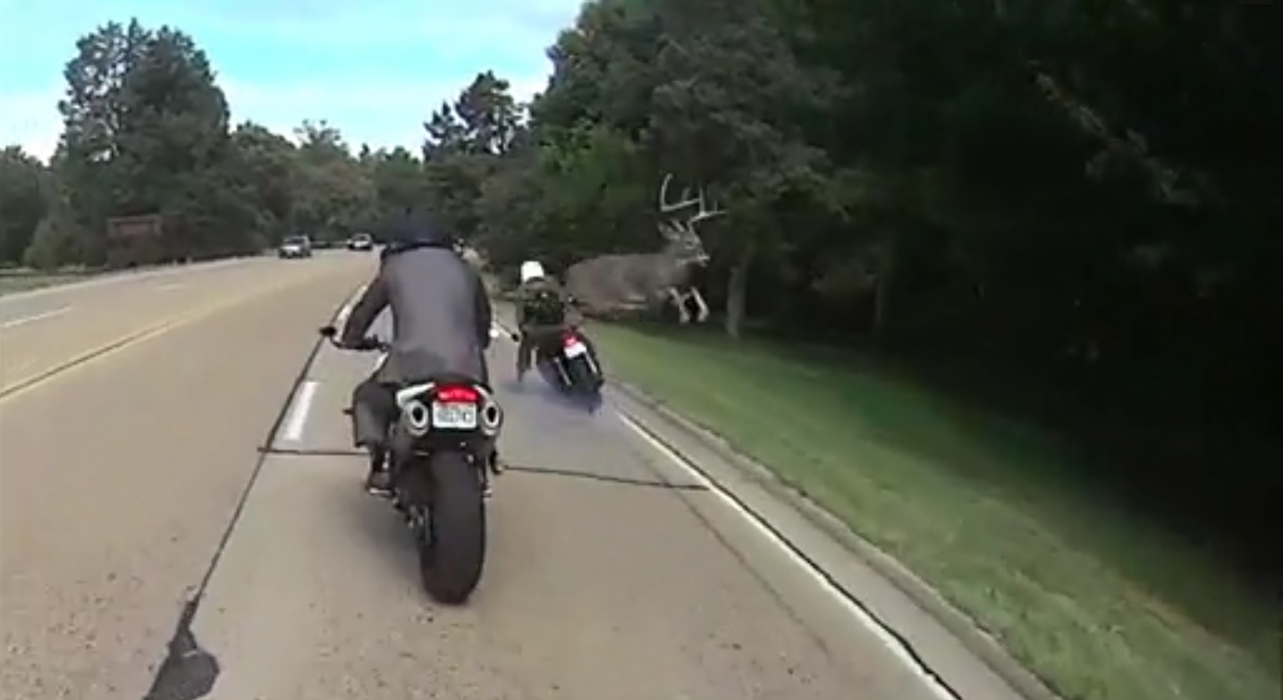 Captura de video dailymotion.com