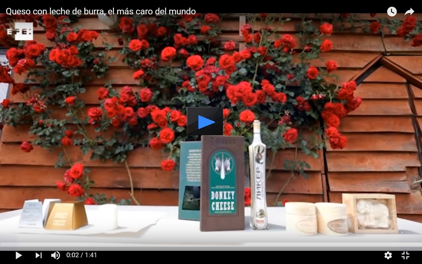 Captura de video EFE