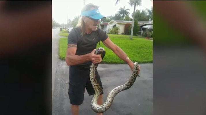 Captura de video http://www.sun-sentinel.com