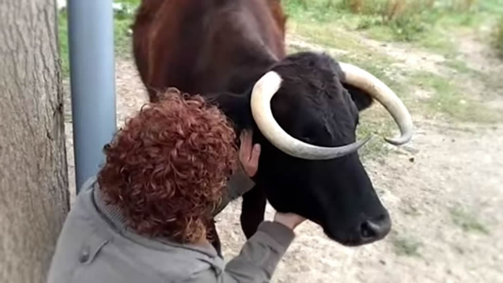 Captura de video El País