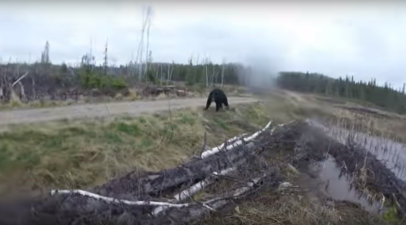 Captura de video Richard Wesley