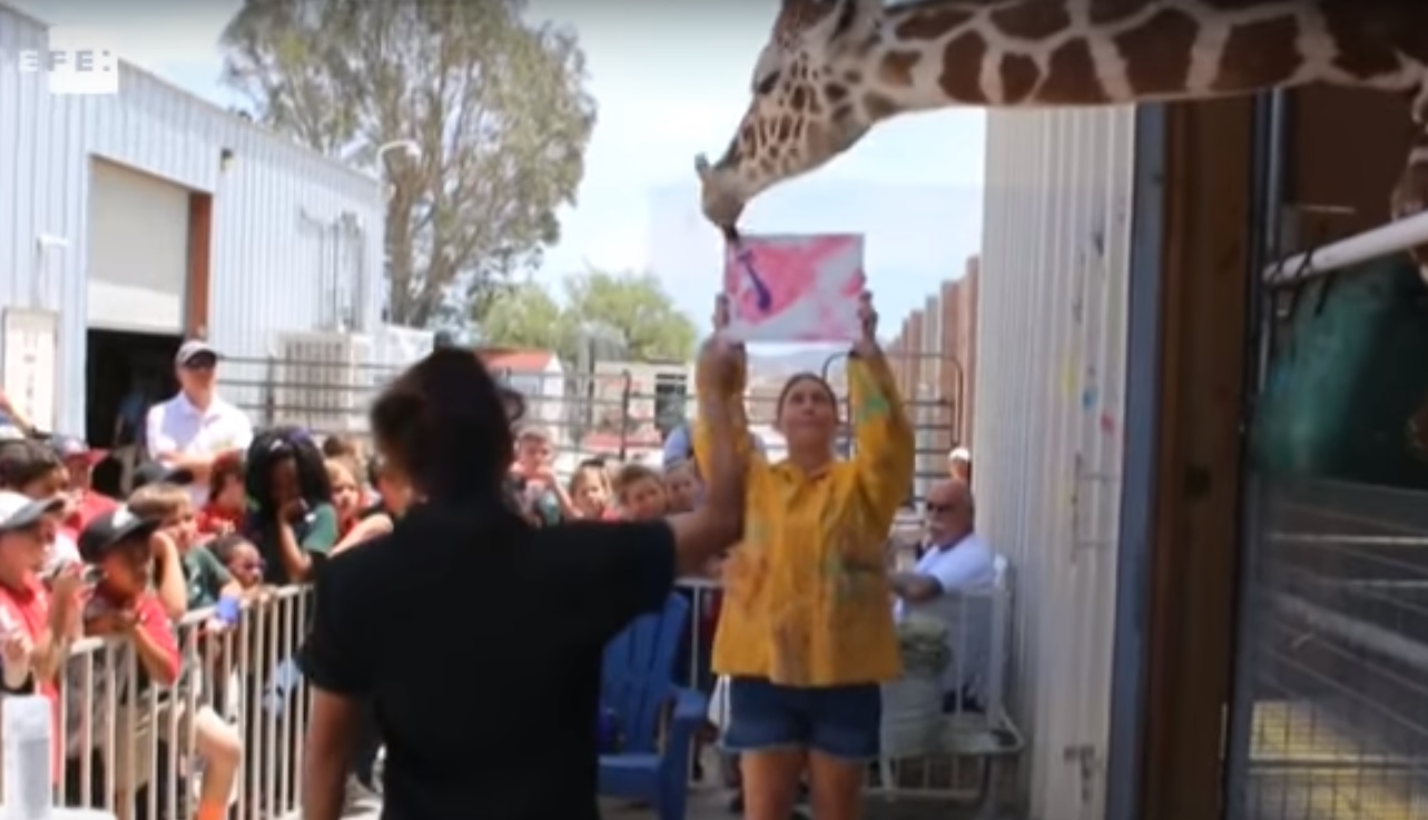 Captura de video EFE