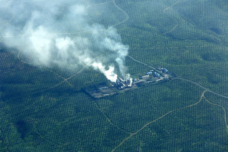 Vista aérea de una fábrica de aceite de palma en el límite de la selva del Parque Nacional de Gunung Leuser en Aceh (Indonesia). EFE