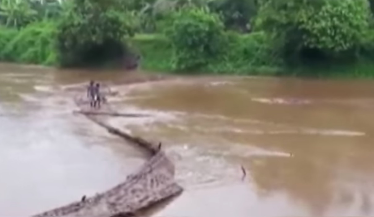 Captura de video augustus