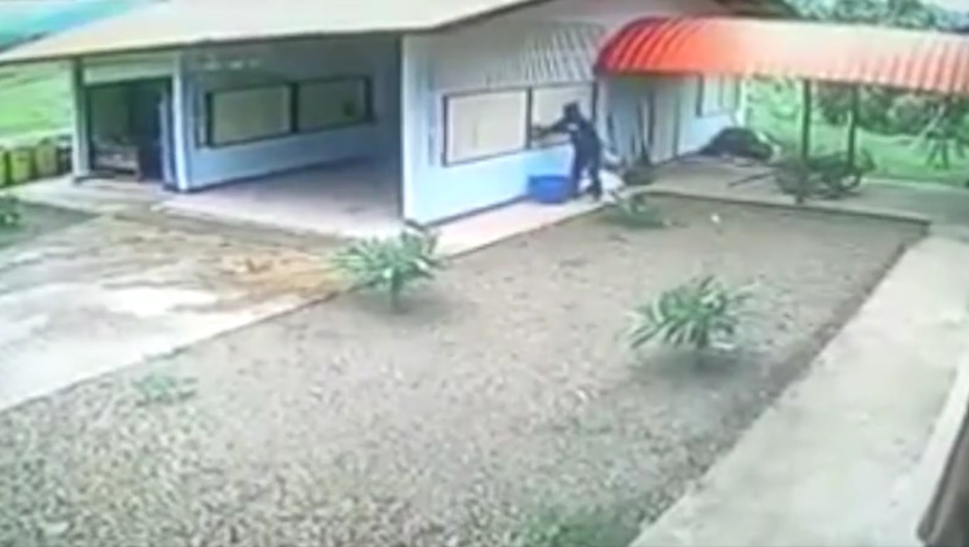 Captura de video dailymotion.com