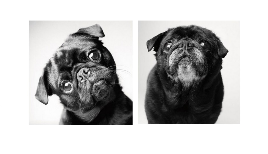 Maddie y Ellie — 7 and 6 años; 14 and 13 años - Proyecto fotográfico fascinante y profundamente conmovedor. / Fotos: Amanda Jones