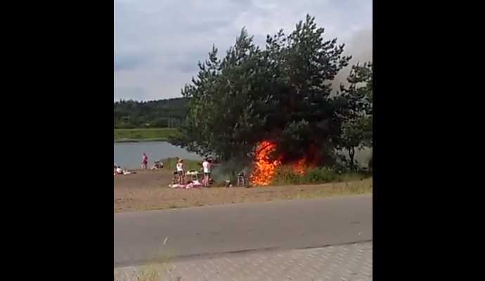 Captura de video dailymotion.com