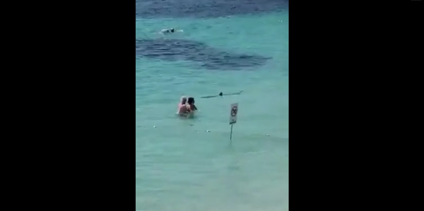 Captura de video dailymotion.com