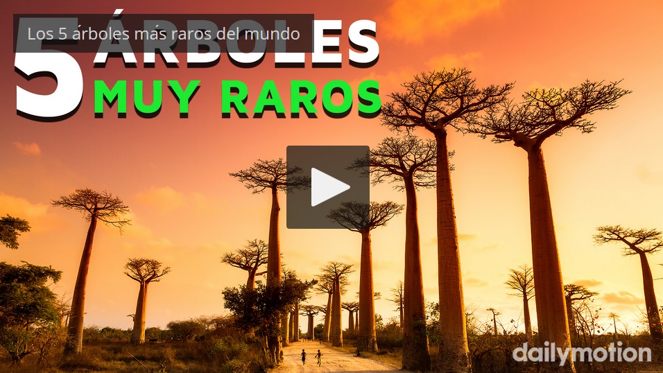 Captura de video dailymotion.com