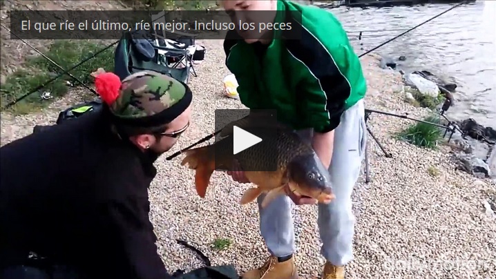 Captura de video dailymotion.com