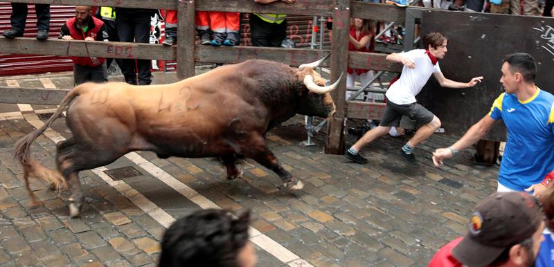 Un corredor se adelanta a un toro de combate del rancho de Puerto de San Lorenzo en el tercer torneo, o "encierro", en la famosa Fiesta de San Fermín de Pamplona, España.  /  Foto. EFE