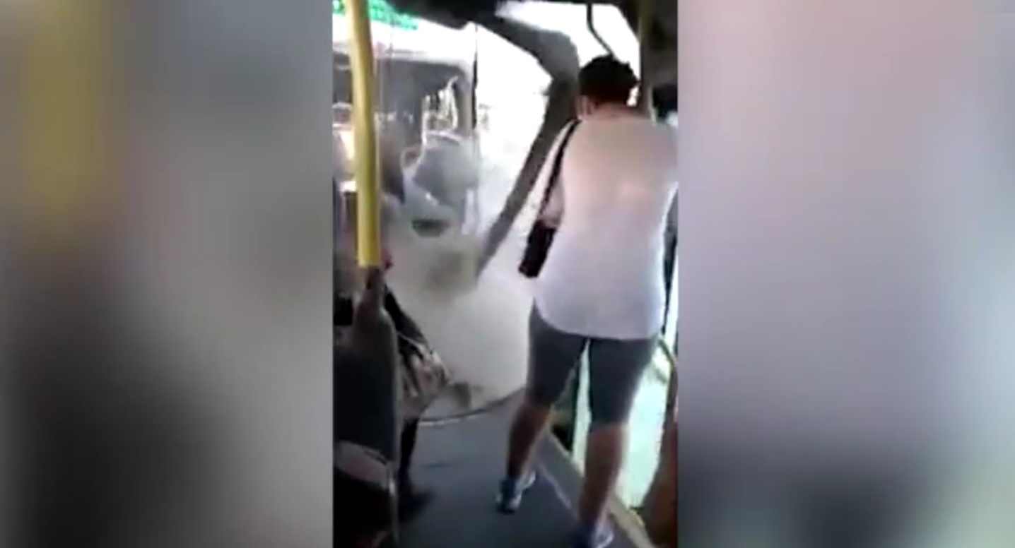 Captura de video dailymotion.com