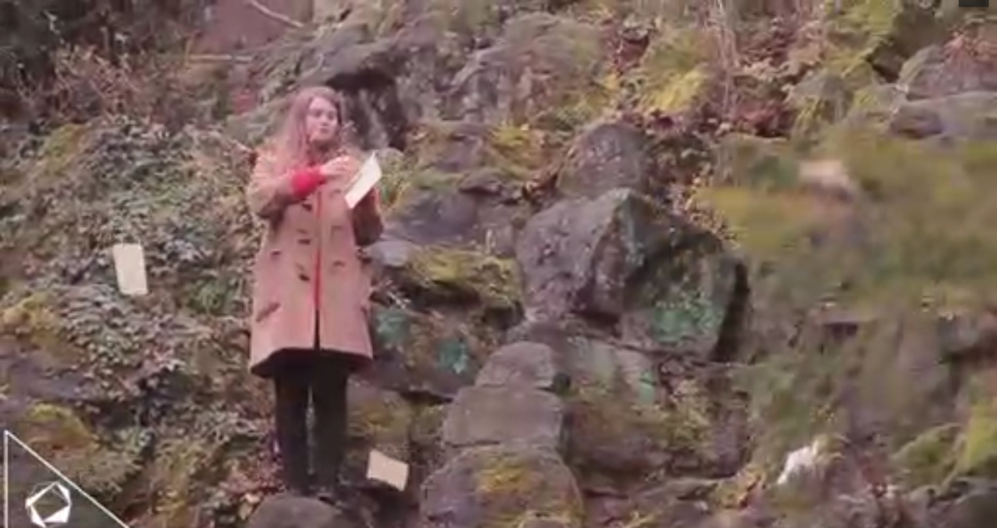 Captura de video dailymotion.com