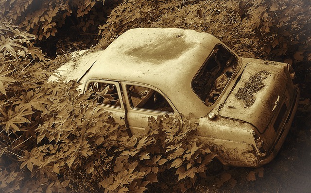 Foto Ilustrativa - Pixabay