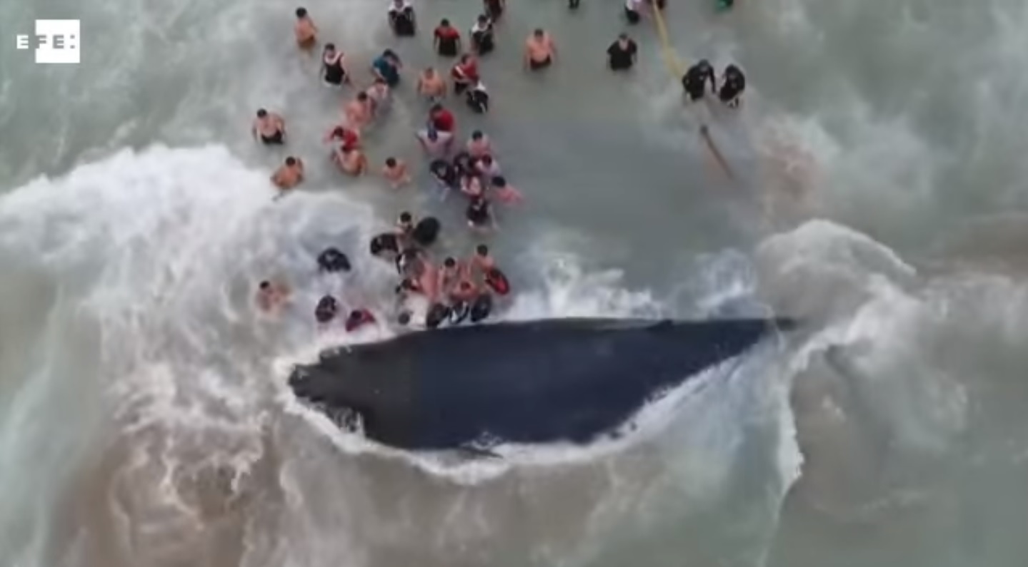 Captura de video EFE