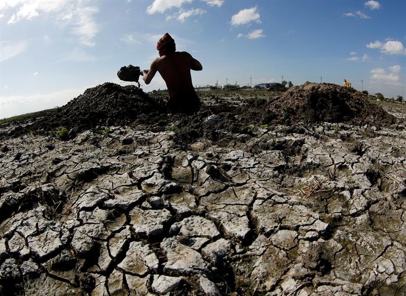 Un agricultor filipino cava un hoyo de una zona reseca en busca de agua para sus plantas en la ciudad de Taguig, sur de Manila (Filipinas). EFE/Archivo