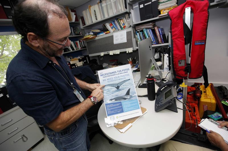 El biólogo marino e investigador del Instituto Smithsonian de Investigaciones Tropicales Héctor Guzmán participa en una entrevista concedida a Efe en Ciudad de Panamá (Panamá). EFE