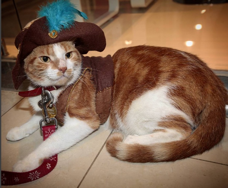 Foto: Roberto Barrios