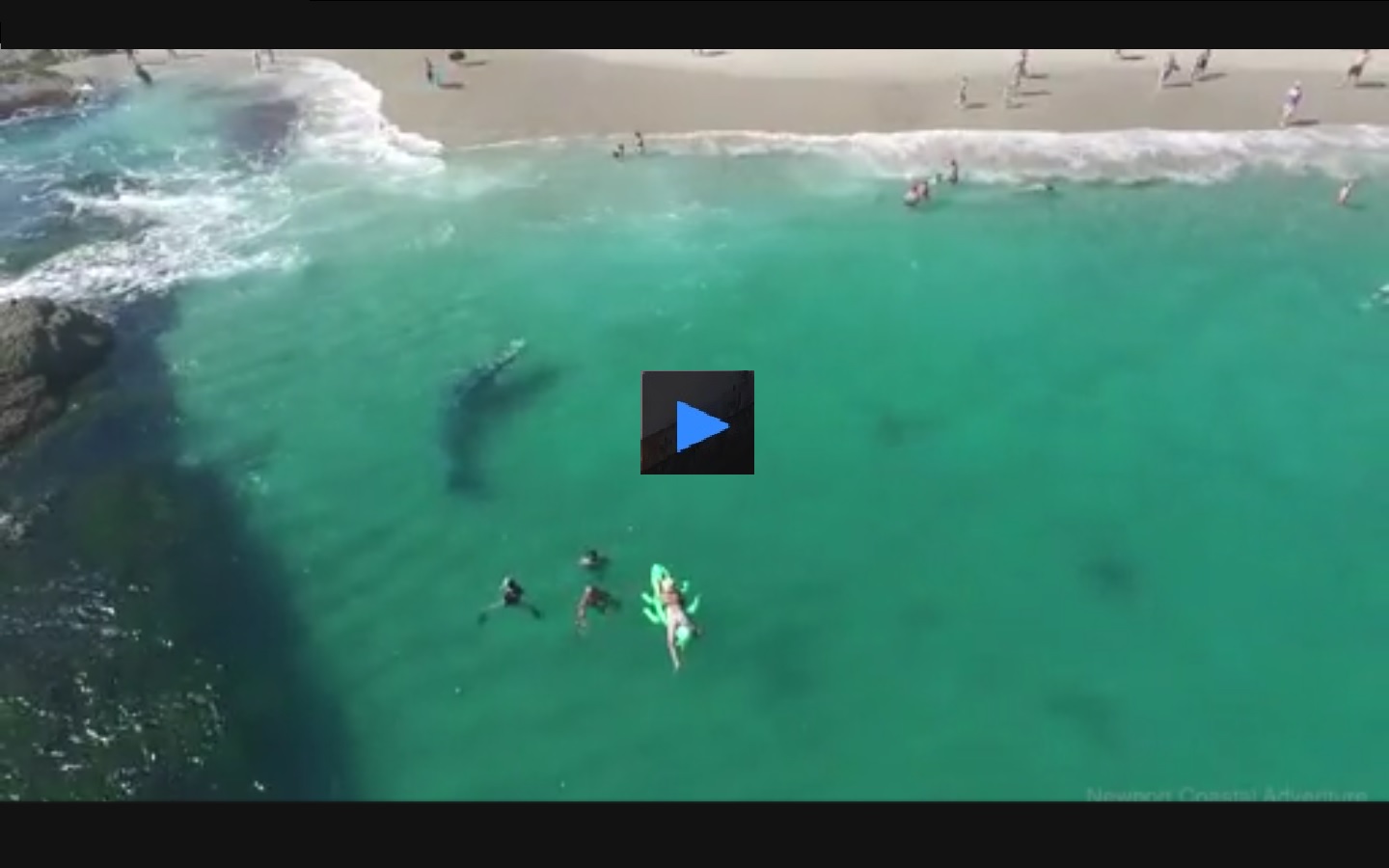 Captura de video dailymotion.com