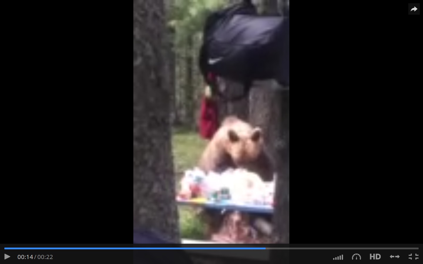 Captura de video dailymotion.com