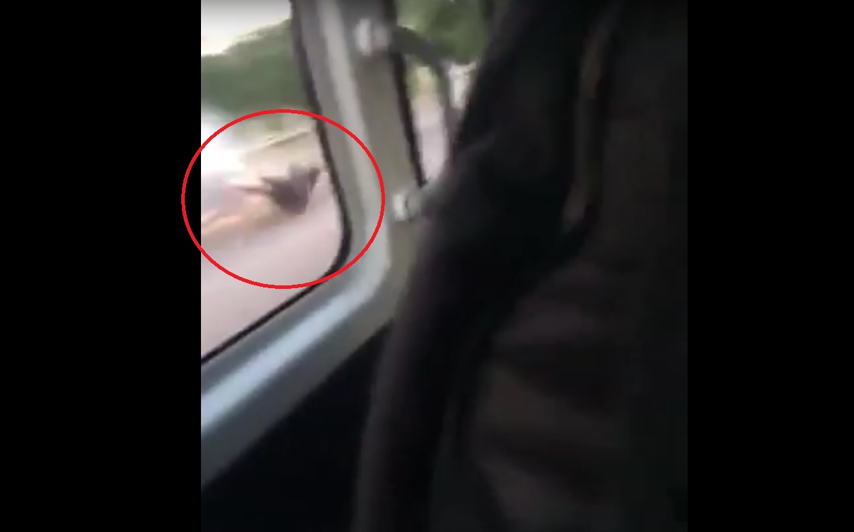 Captura de video Actualidadrt.com