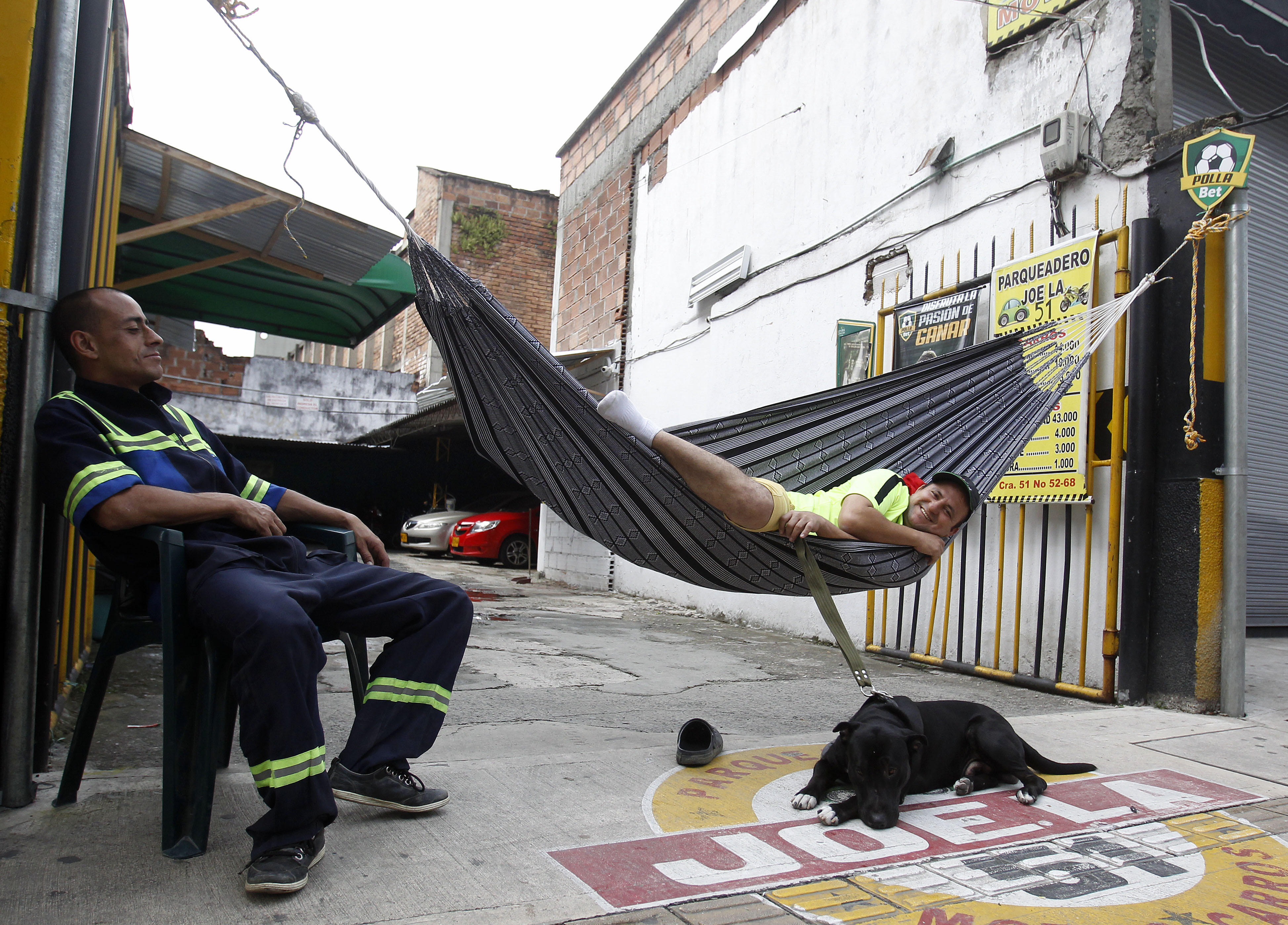 Hasta el perro lo celebra.