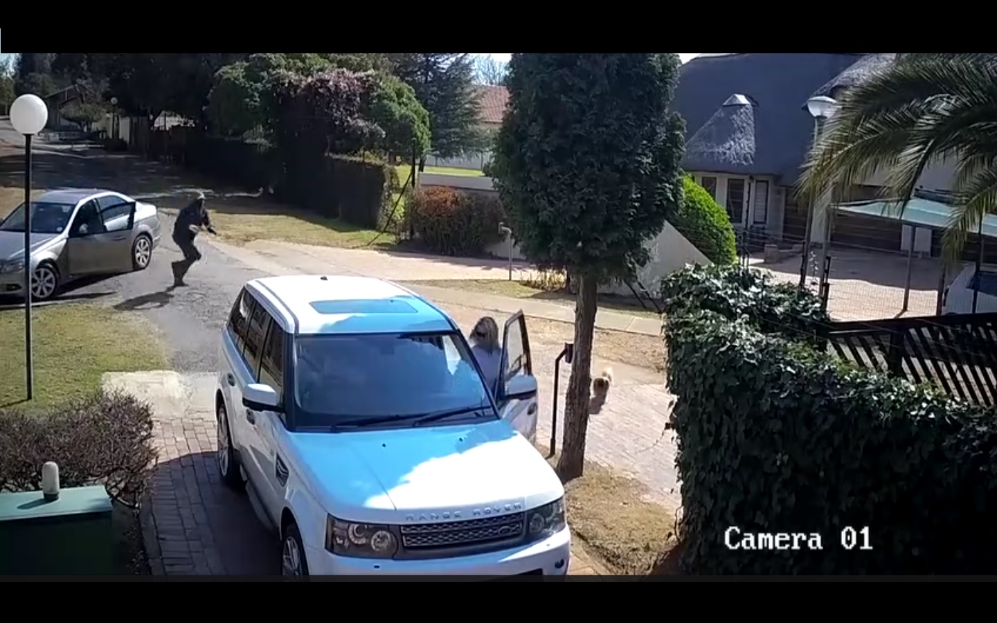 Captura de video dailymotion.com