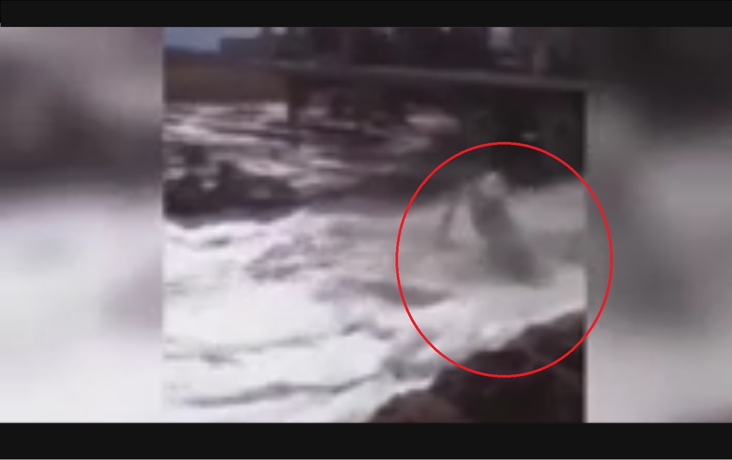 Captura de video dailymotion.com