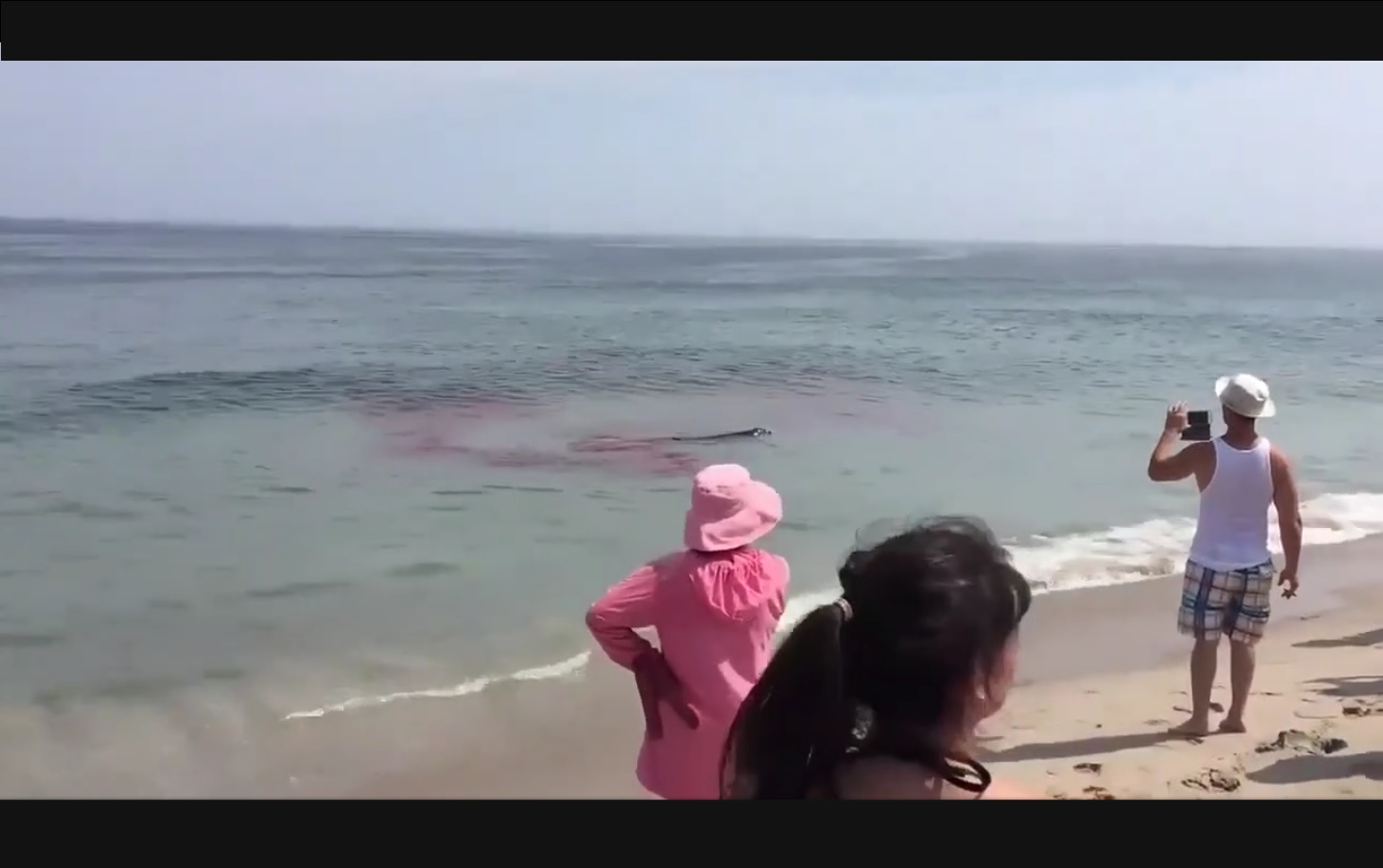 Captura de video dailymotion.com