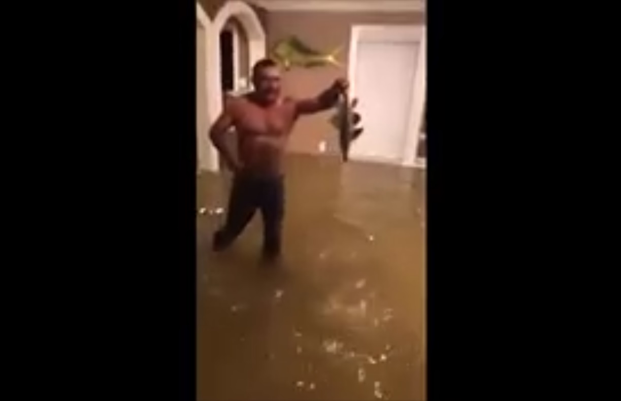 Captura de video dailymotion.com